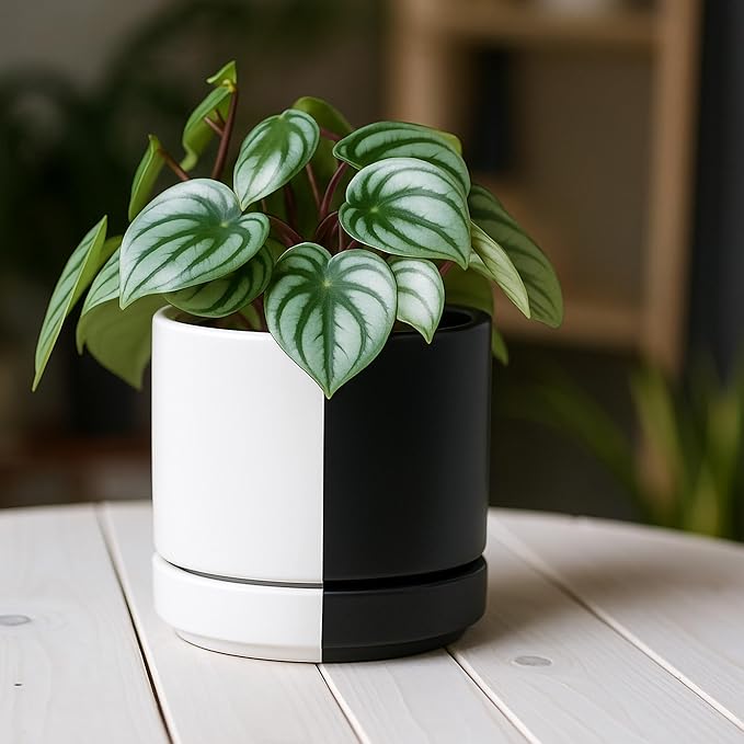 D'vine Dev 4.7 Inch Ceramic Planter Pot with Drainage Hole and Saucer, Indoor Cylinder Round Planter Pot, Split Monochrome Black & White, 94-O-B-0