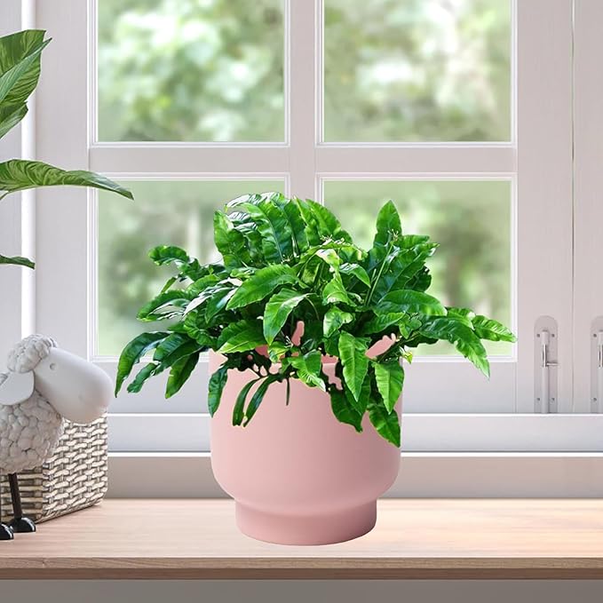 LB Pink Ceramic Plant Pots for Indoor Plants, Succulent Planters Ceramic Plant Pot, Cute Flower Pots for Living Room Office Home Decor, Round Flower Pot of 4.3 Inch(Plant Not Included)
