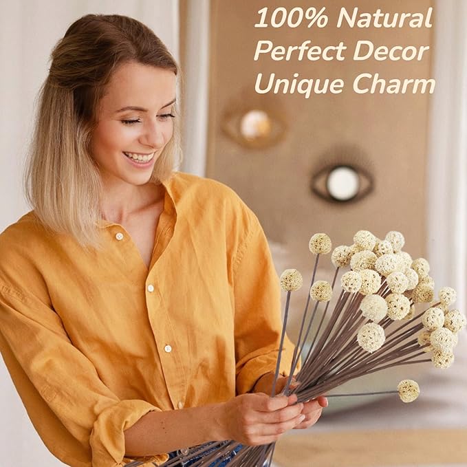 30 PCS Natural Dried Craspedia Billy Balls Flowers, 17” Dried White Flowers Buttons Bouquet for Vase Floral Arrangements Wedding Table Centerpieces Party DIY Home Decor, Christmas Tree Decoration