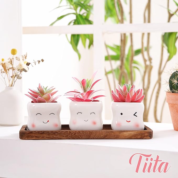 Tiita Cute Artificial Faux Succulents in Pots, Pink Fake Plants Ceramic Arrangement Planter Small Mini Tiny Decoration for Home Office Accessories Women Desk Window Sill Bathroom Bedroom