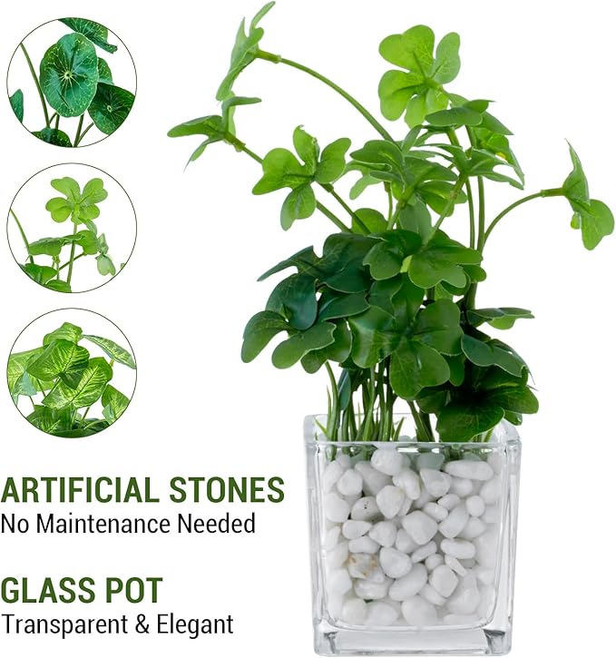 MyGift Artificial Clover and Taro Plants in Clear Glass Vase with Decorative White Stones, Set of 3