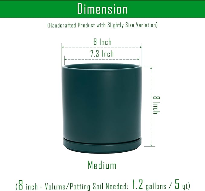 D'vine Dev Set of 2 Plants Pots, 8 Inch Ceramic Planter Pot for Plants with Drainage Hole and Saucer, Teal, 94-V-D-9