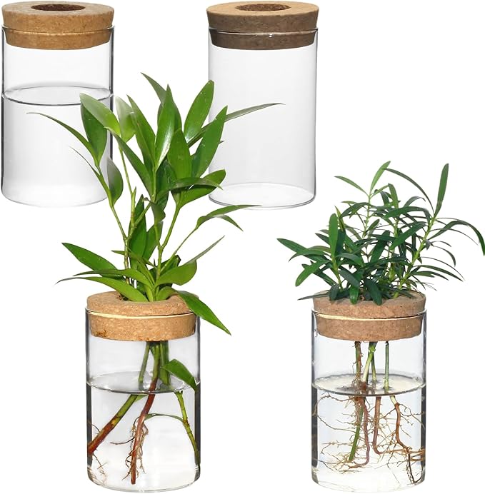Separated Desktop Glass Flower Vases - Ideal Plants Propagation Stations for Living Room, Bedroom Decoration,Home Decor (4)
