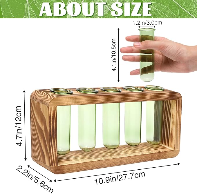 Glass Plant Propagation Station with 5 Test Tubes Colorful Planter Vase Birthday Gifts for Women in Wooden Stand