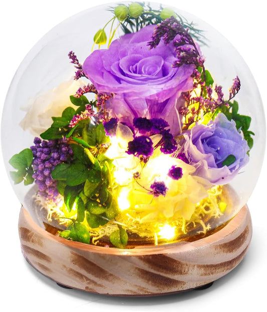 Long Lasting Real Flowers, Birthday Present for Women，Preserved Rose Flowers with Hydrangea and LED Light,Unique Floral Present for Various Festivals, Various Occasions, Home Decoration（Purple Rose）