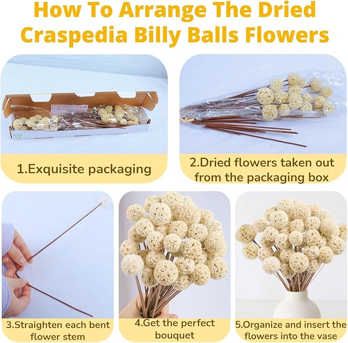30 PCS Natural Dried Craspedia Billy Balls Flowers, 17” Dried White Flowers Buttons Bouquet for Vase Floral Arrangements Wedding Table Centerpieces Party DIY Home Decor, Christmas Tree Decoration