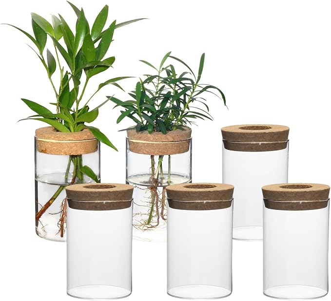 Separated Desktop Glass Flower Vases - Ideal Plants Propagation Stations for Living Room, Bedroom Decoration,Home Decor (6)