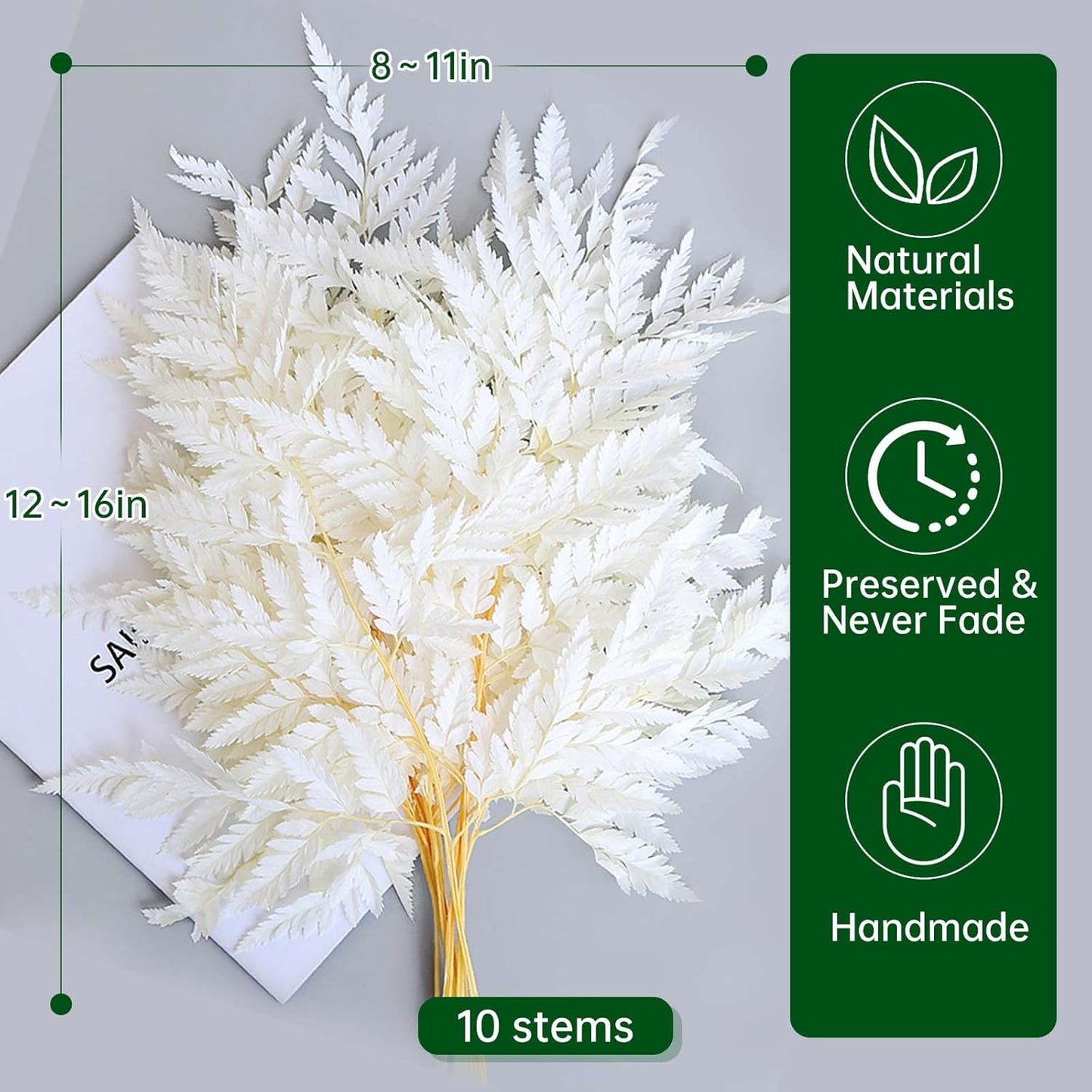 Fern Preserved White Ferns, 10 PCS Dried Boston Fern with Stems, 15'' Real Leaves for Dried Flowers Arrangements Wedding Garland Bouquets Home Party Centerpiece Table Decorations Vase Filler