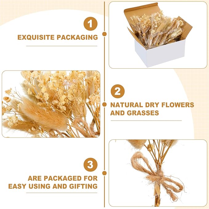 50 Pcs Mini Dried Baby's Breath Flowers Gypsophila Bouquets Natural Branches Dog Tail Bunny Rabbit Tail Dried Bulk Flowers Plants for Vase Home Decoration Photo Props Parties Weddings DIY Craft