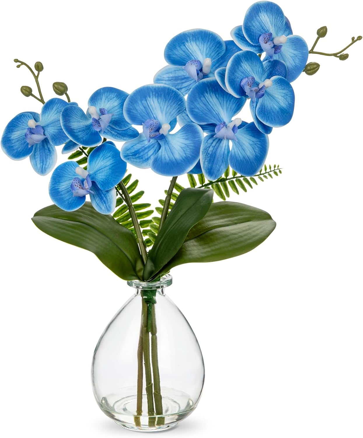 Blue Orchids Artificial Flowers, Faux Orchid in Glass Vase Real Touch Small Phalaenopsis Orchid Flowers Arrangements with Clear Vase Orchid Centerpiece for Dining Room Table