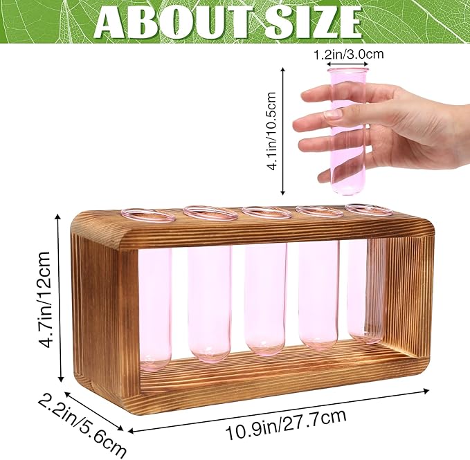 Glass Plant Propagation Station with 5 Test Tubes Colorful Planter Vase Birthday Gifts for Women in Wooden Stand