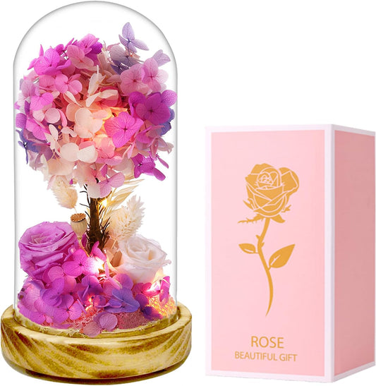 dranmoner LED Illuminated Glass Dome with Preserved Pink Roses and Hydrangeas, 8 Inch Height, Battery Powered Floral Display with Wooden Base