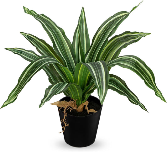 DILATATA Artificial Dracaena Plant in Black Pot 13.8 Inch Faux Potted Dracaena Silk Plant Fake Yucca Tree Tropical Plant for Home Office Living Room Indoor Outdoor Decor