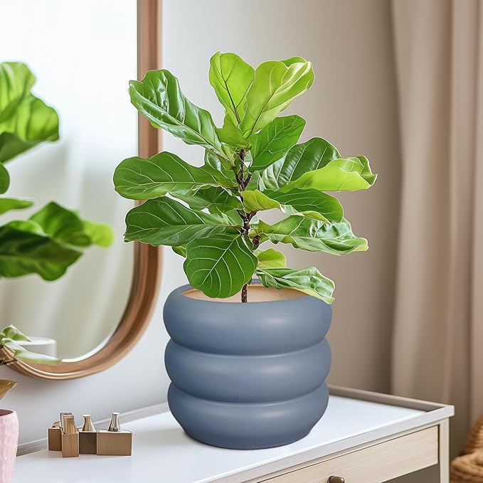 SQOWL Ceramic Pot for Plants - 8 Inch Plant Pot with Drainage Hole Planter for Indoor Plants Outdoor Flower Pot Decorative Plant Pot Unique Planter for Room Decorations Gray