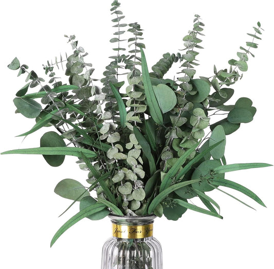 Eucalyptus Stems Mixed Dried Eucalyptus Bundle 15PCS Natural Eucalyptus Stems Greenery Plant for Wedding Bouquet Shower Hanging Home Spring Decoration