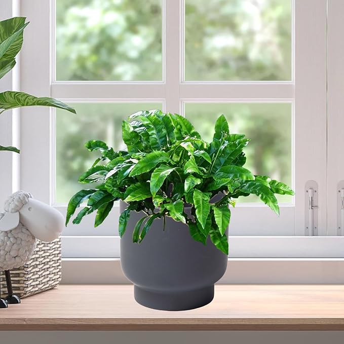 LB Grey Ceramic Planters for Indoor Plants, Succulent Plant Pots Ceramic Flower Pots, Modern Plant Pot for Living Room Office Home Decor, Round Flower Pot of 4.3 Inch(Plant Not Included)