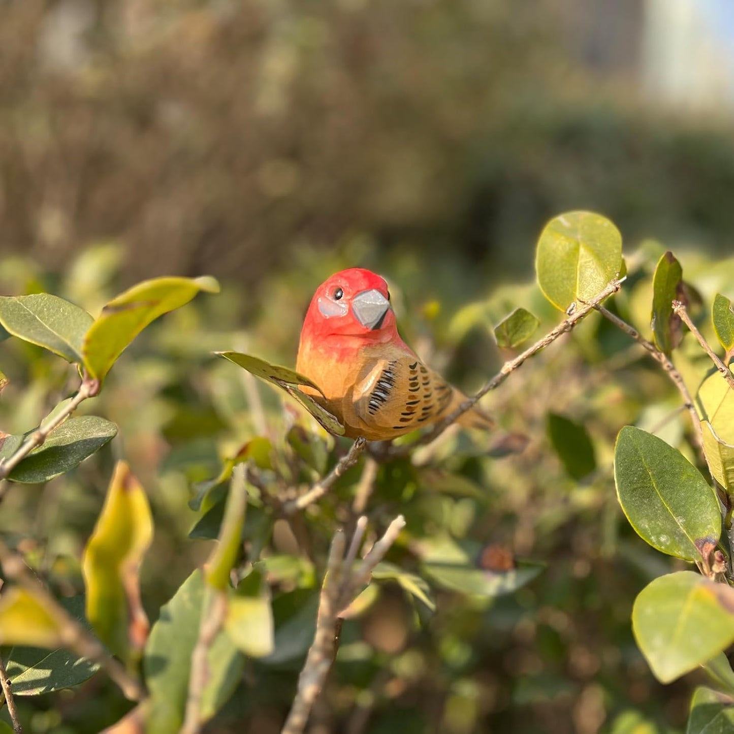 Hand Carved Bird Figurines, Hand-Painted Sculpted Wooden Birds, Wood Bird Sculptures for Home Decoration, Hand Crafted Life Like Bird Statues, Ideal Gifts for Bird Lovers (House Finch)
