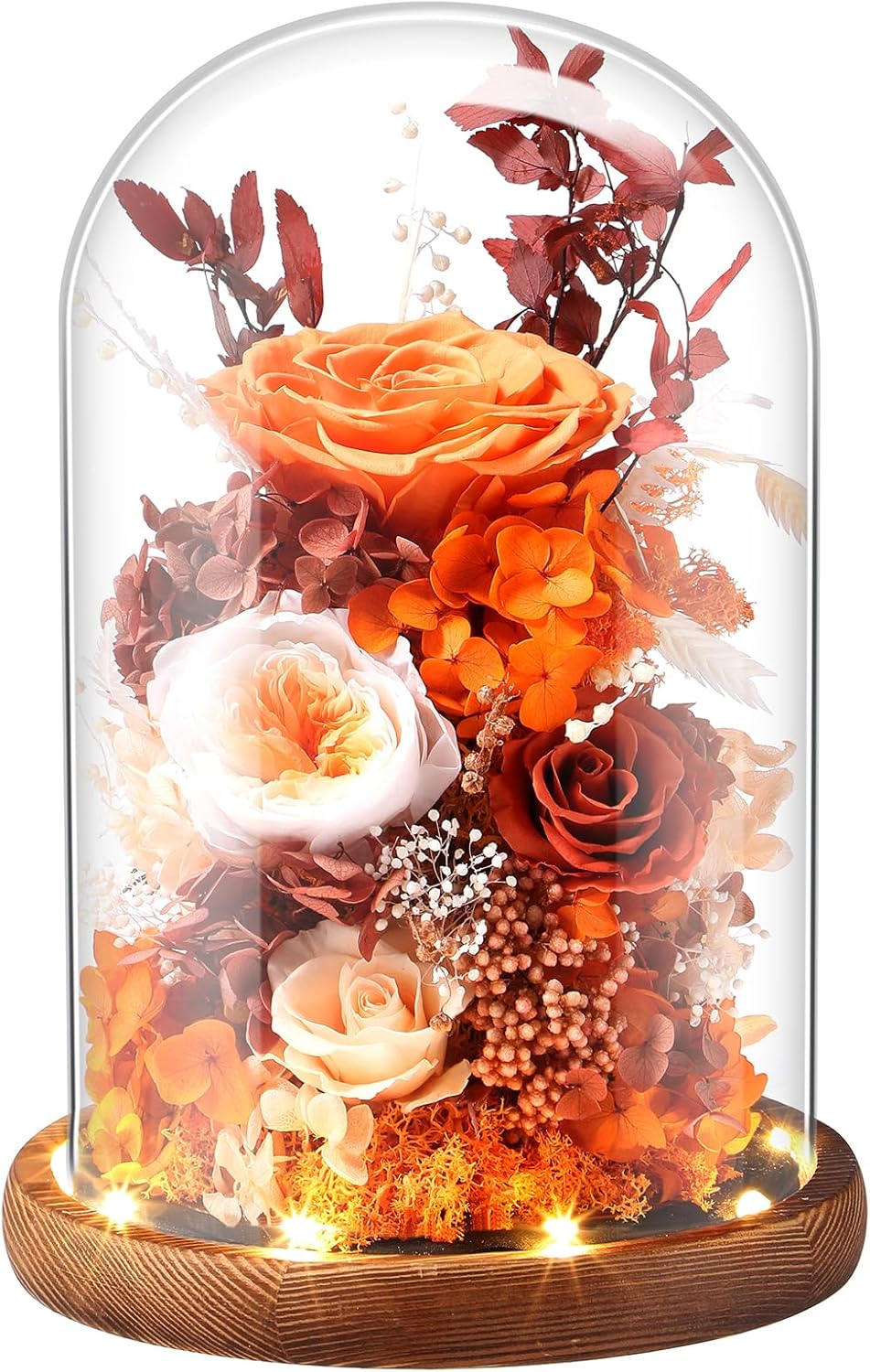 Eternal Rose Sunset Orange Flower Preserved Long Lasting Stable Color Natural Material Symbol of Everlasting Love for Wife Mothers Select Anniversary Rose Gift