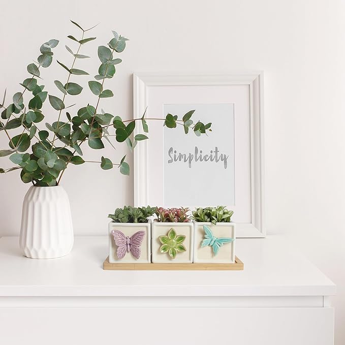 Succulent Plant pots with Tray: Small White Succulent Square Plant pots for Home Office Housewarming - 3.1 inch Geometric Cactus Holder with Drainage and Tray-Suitable for Desktop Storage