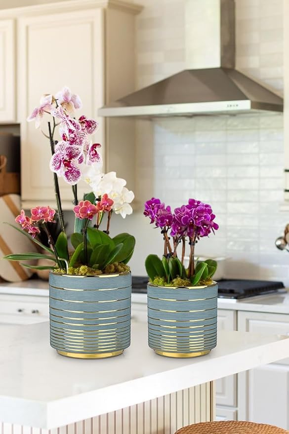 Grey Ceramic Plant Pots, 5.5 + 6.2 Inch Gold Striped Planter for Plants, Modern Flower Pots for Home and Office, Indoor Planters with Drainage Set of 2