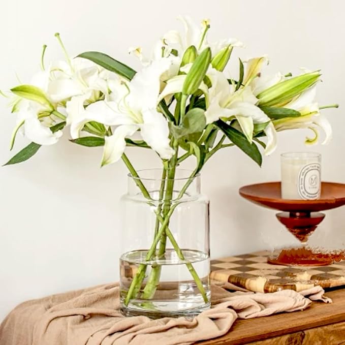 BLOFLO Clear Glass Vase, 9 Inch Large Glass Vase for Flowers, Modern Thick Glass Flower Vases for Centerpieces, Decorative Glass Cylinder Hydroponic Vase for Wedding, Home, Office (Clear, 9Inch)