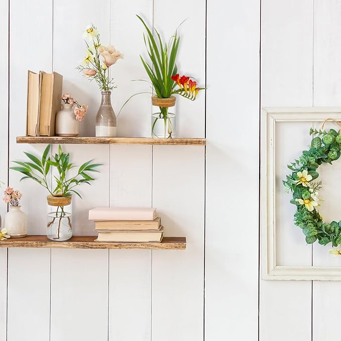 Separated Desktop Glass Flower Vases - Ideal Plants Propagation Stations for Living Room, Bedroom Decoration,Home Decor (4)