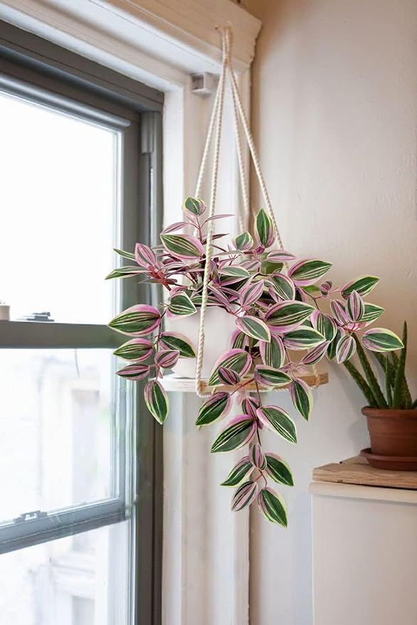 Fake Hanging Plants in Ceramic Pot, 20 Inch Artificial Pink Ivy Leaves Plant Faux Greenery Vine Plants for Home Bedroom Office Table Shef Desk Indoor Outdoor Decor Pink