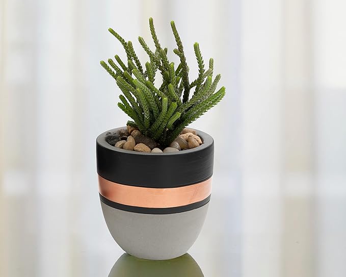 PASENITY Hand Painted Indoor Plant Pots, Set of 3 Modern Cement Succulent Pots with Drainage, Best Planters for Cactus, Herbs, Great Office & Home Gift Idea (Plants NOT Included), 3.5 Inch