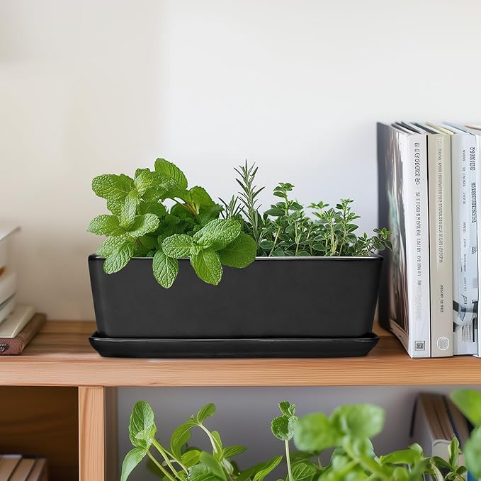 SQOWL Rectangle Planter - 10 Inch Ceramic Plant Pots with Drainage Hole and Saucer, Rectangular Succulent Planters for Indoor Plants, Flower Cactus Herb Pots Outdoor, Room Decor, Garden Gifts, Black