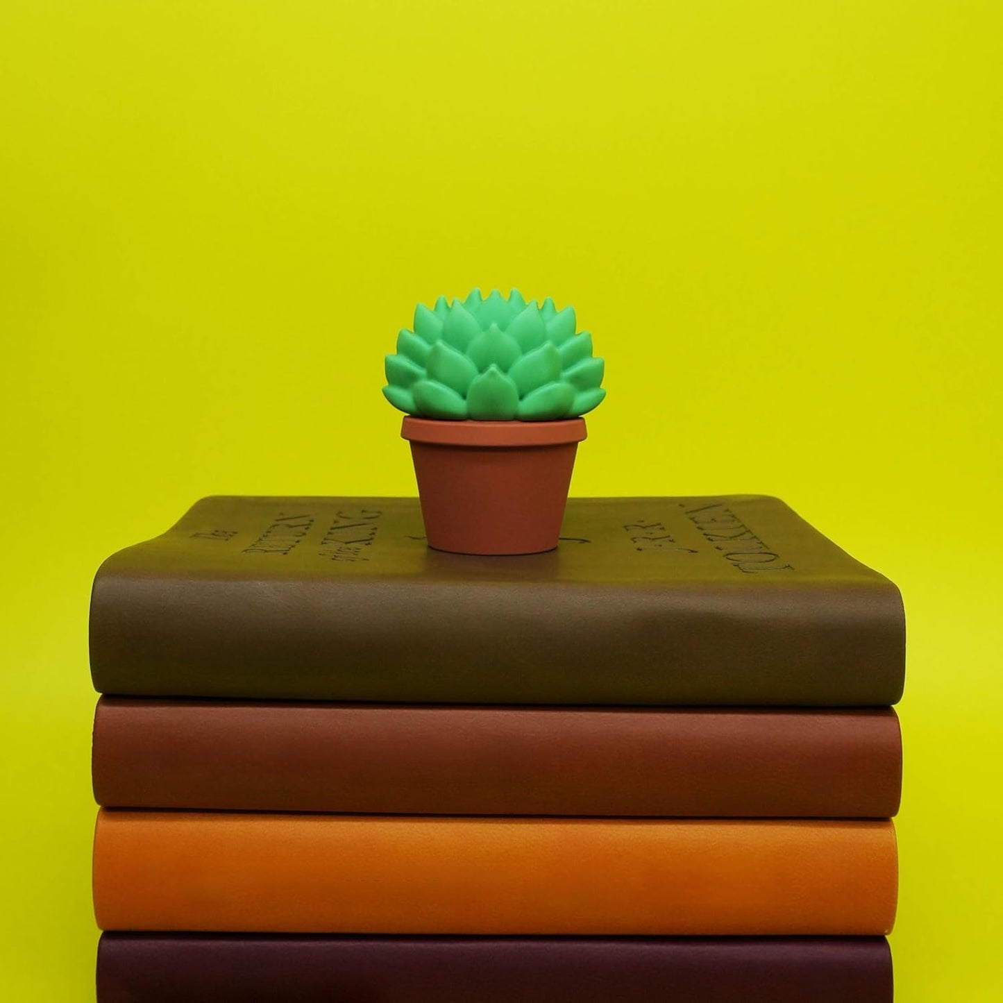 Mini Garden Figurines for Desk Decor – Cute Accessories for Fairy Gardens, Terrariums, Succulent Pots & Office Spaces – Tiny Plant Decor Statues - Echeveria