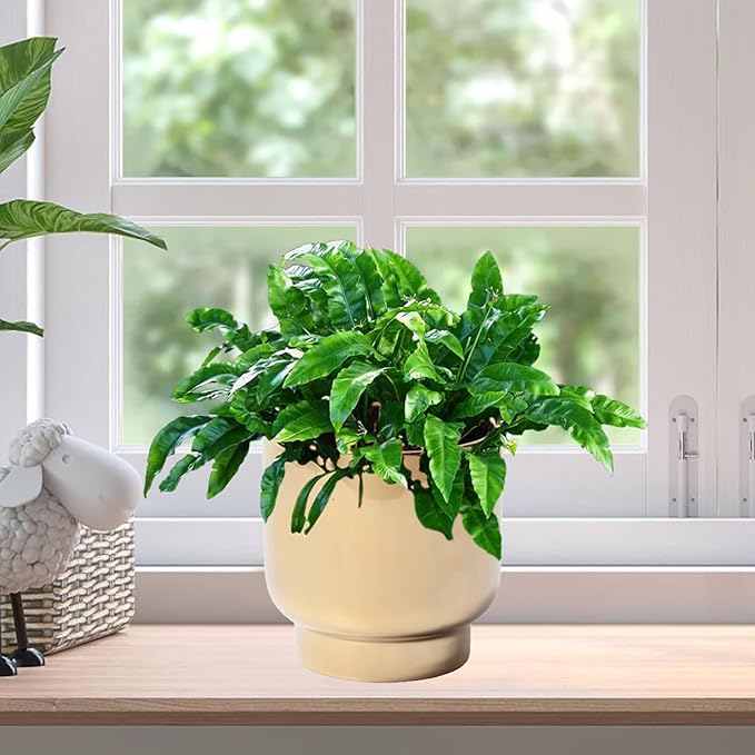 LB Gold Ceramic Planters for Indoor Plants, Succulent Plant Pots Ceramic Flower Pots, Modern Plant Pot for Living Room Office Home Decor, Round Flower Pot of 4.3 Inch(Plant Not Included)