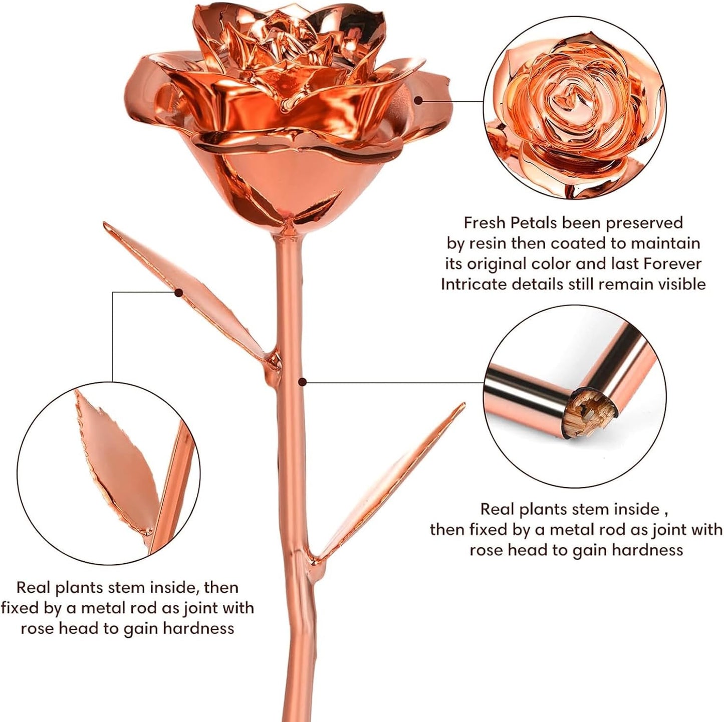 Gold Dipped Infinity Rose Last Forever Flower Decor, Birthday Gift for Women in Her Birthday Mothers Day, Resin Preserved Rose | Anniversary Present for Mom (Rose Gold)