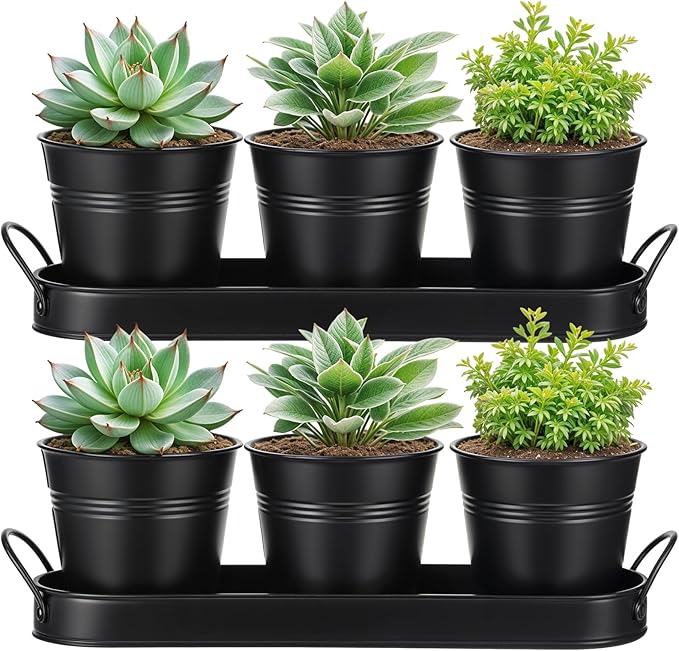 2 Sets Herb Planter with Tray Metal Herb Garden Planter with Drainage Farmhouse Windowsill Pots for Indoor Plants Flower Succulent Outdoor Kitchen Apartment Balcony Window (Black)