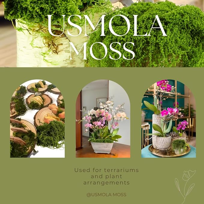 3.5OZ Fake Moss for Plants Indoor - Artificial Moss for Table Centerpieces, Fairy Gardens, Terrariums - Realistic Faux Grass for Wedding Christmas Party Decor (Light Green)