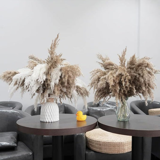 30 Stems Fluffy Pampas Grass - Natural Dried Pampas, Brown & White Pompas Grass, Dry Small Pampas Bulk for Living Room Table Decor, Boho Decor,Party Wedding Decor, Gift(17.7 inch, 20 Brown & 10White)