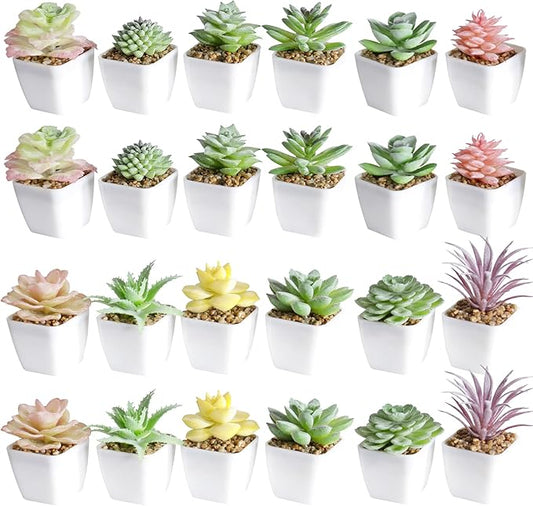 Tiita 24 Set Artificial Faux Succulents in Pots Fake Plants Plastic Arrangement Planter Small Mini Tiny Decoration for Home Office Desk Window Sill Bathroom Bedroom Outdoor Indoor