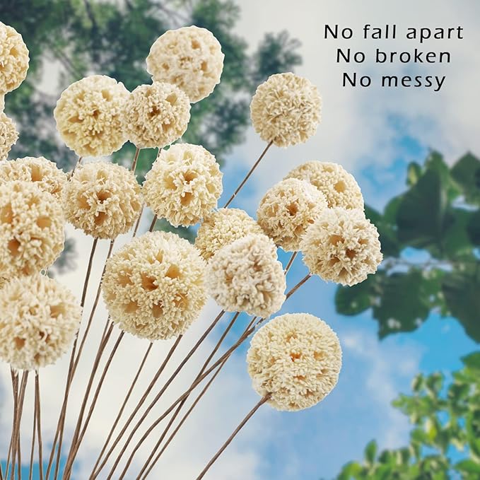 24 PCS Dried Craspedia Billy Balls Flowers, 18” Natural Dried Flowers Bouquet for Vase Floral Arrangements Wedding Table Centerpieces Party DIY Home Decor (White)