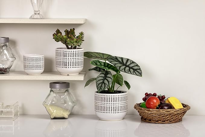 Docrin Plant Pots Ceramic: 6.5+5.3+4 Inch Flower Pots with Drainage Holes for Plants, Modern Flower Pots for Home and Office, Indoor-Outdoor - Set of 3/White and Black