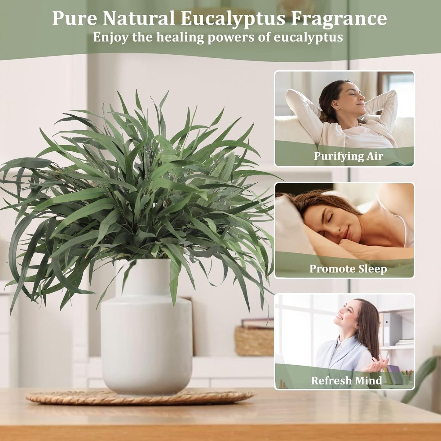 Eucalyptus Stems, 20PCS 17inch Real Fresh Dried Eucalyptus Branches for Shower Wedding Spring Festival Vase Home Decoration