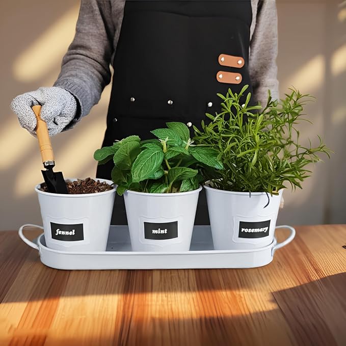 4" Herb Garden Planter Kit, Indoor Herb Planters with Tray, Set of 3 Metal Windowsill Pots for Flower Plants with Drainage Hole, Customizable Labels & Marker Pen, White
