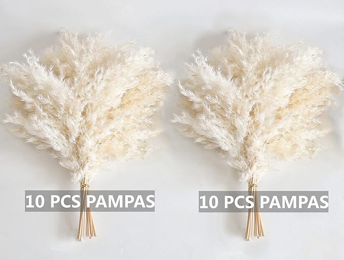 White Pampas Grass for Home Decor - Elegant Boho Decor - Premium Quality Pampas Grass Stems - Perfect for House, Nursery, Western, Wedding, Table, and Bohemian Decor (20PCS)