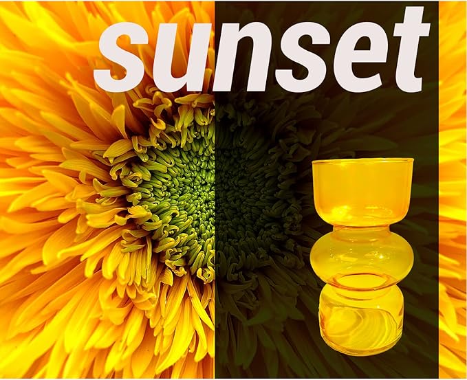 BLOFLO Orange Transparent Glass Hydroponic Vase, 7Inches Colored Glass Vase for Flower, Modern Geometric Three-Layer Floral Vases for Home Office Wedding Table Décor (Orange)