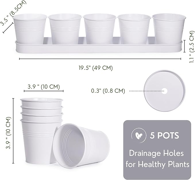 SCANDINORDICA White Herb Planter 5 Pots with Drainage Holes and Tray, Windowsill Planter, Indoor/Outdoor Herb Pots