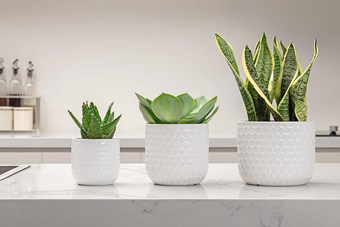 Docrin Plant Pots Indoor with Drainage: 6.4+5.3+4 Inch Ceramic Flower Pots for Plants - Set of 3 Modern Decorative Planters for House/Office/Gift - White Honeycomb