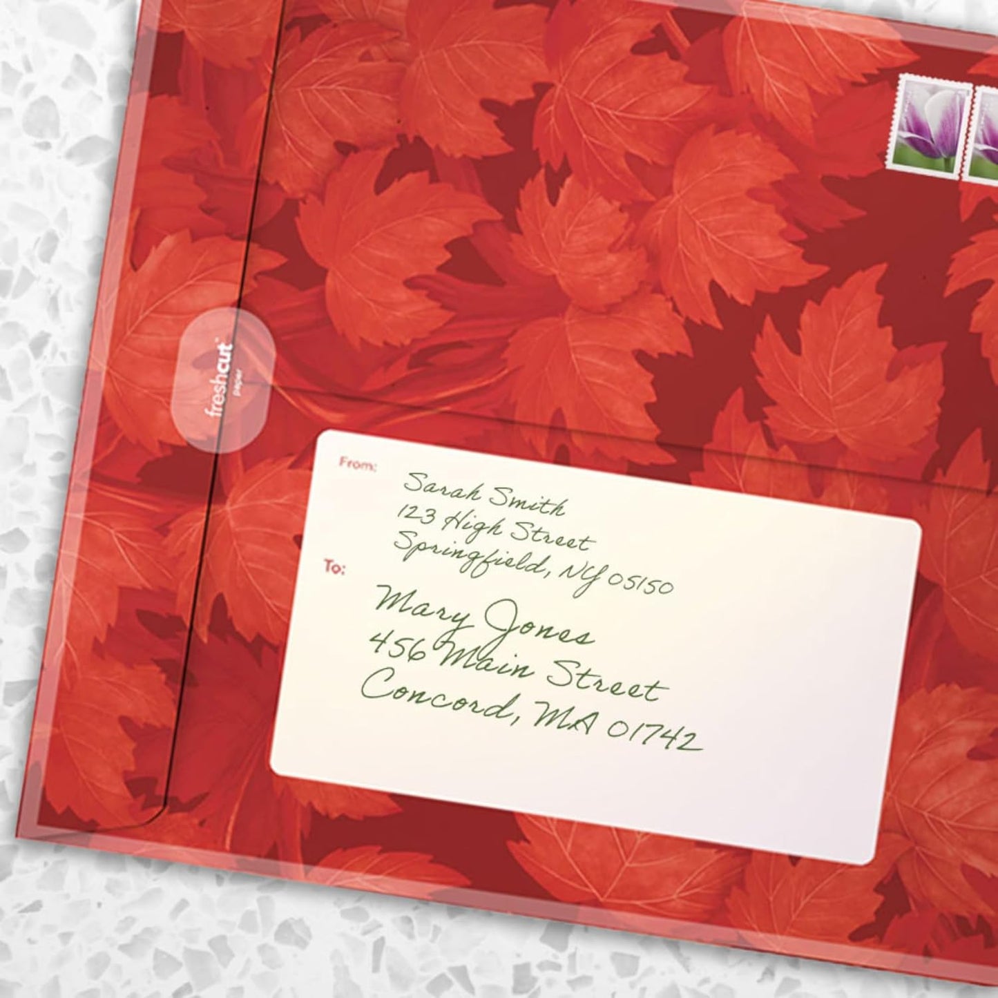 Freshcut Paper Pop Up Cards, Red Maple Tree, 12 Inch Life Sized Forever Flower Bouquet 3D Popup Greeting Card, Autumn Cards, Birthday Card, Blank Notecard & Envelope