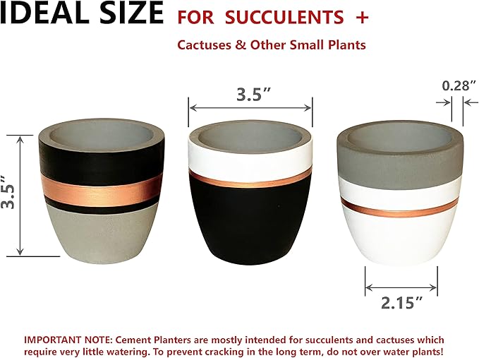 PASENITY Hand Painted Indoor Plant Pots, Set of 3 Modern Cement Succulent Pots with Drainage, Best Planters for Cactus, Herbs, Great Office & Home Gift Idea (Plants NOT Included), 3.5 Inch