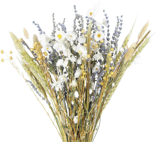 CISDUEO Dried Flowers Bouquet Dried Daisy Flowers Natural Lavender Bundles Dried Gerber Daisies Flowers Bunny Tails Wheat Stalks Floral Arrangements for Wedding Table Centerpiece Decor Farmhouse DIY