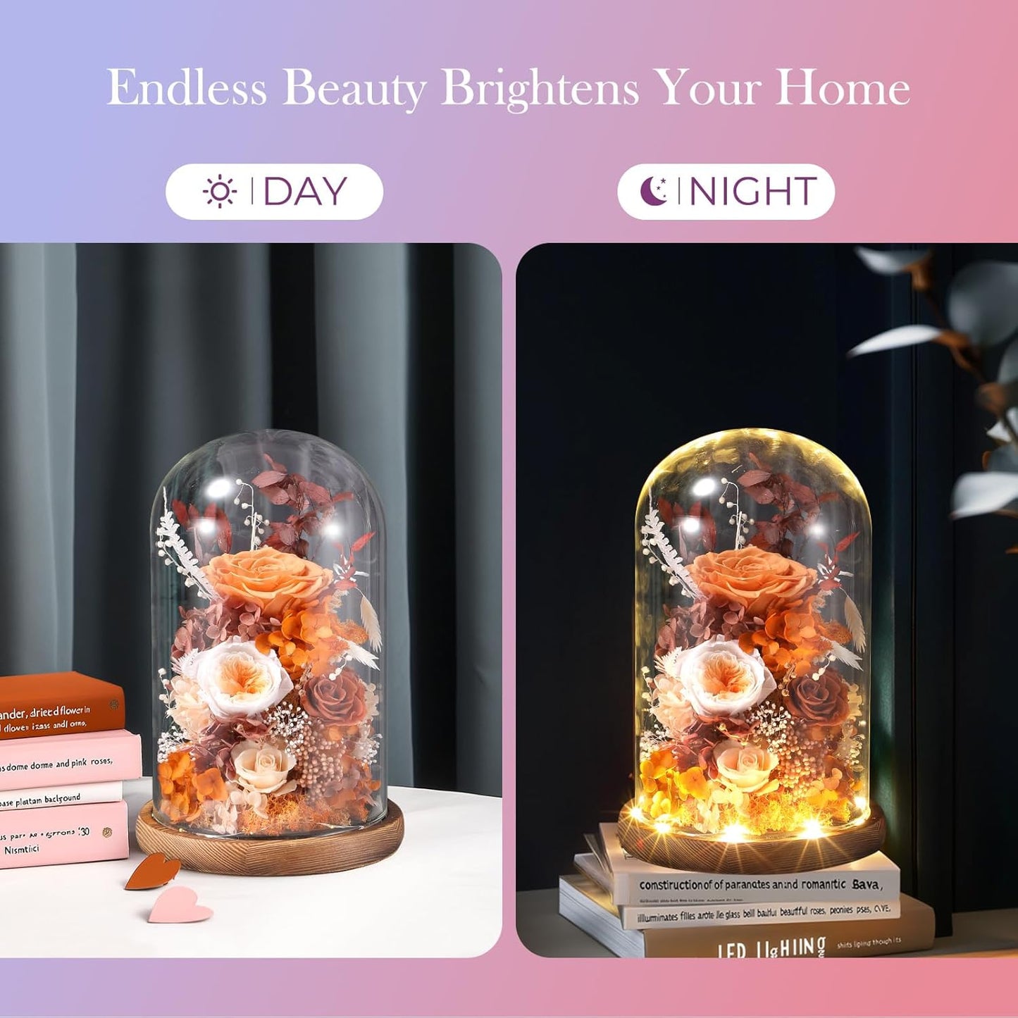 Eternal Rose Sunset Orange Flower Preserved Long Lasting Stable Color Natural Material Symbol of Everlasting Love for Wife Mothers Select Anniversary Rose Gift