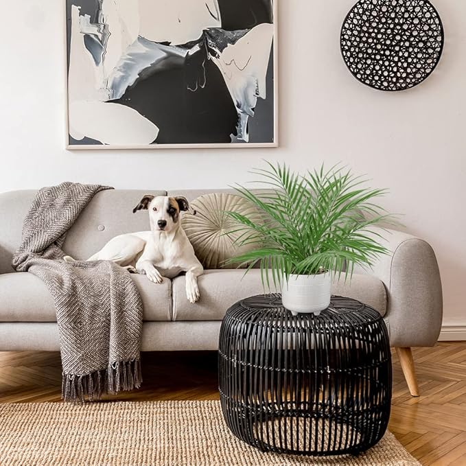 Hollyone Large Artificial Potted Plants Fake Palm Plants 19" Faux Green Plant Plastic Tropical Palm Tree in White Ceramic Pots Bohemian for Home Room Office House Indoor Decoration