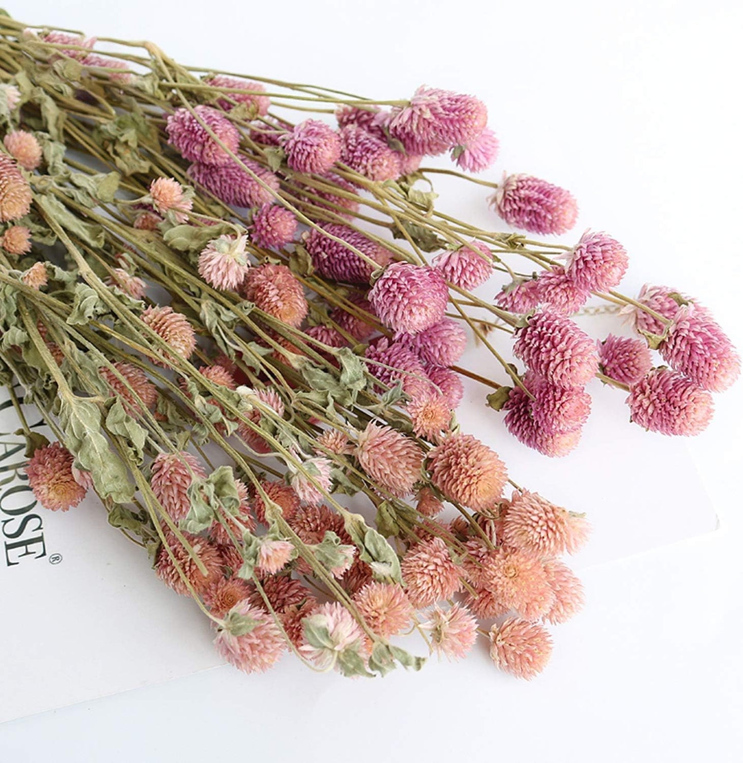 Dried Flower White Globe Amaranth Dry Flower Bundles 100% Naturally for Home Decor Party (Pink)